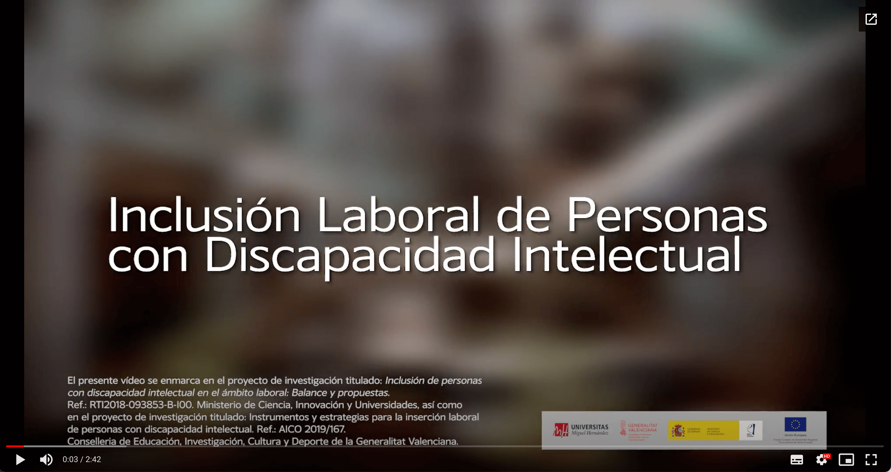 presentacion inclusion laboral